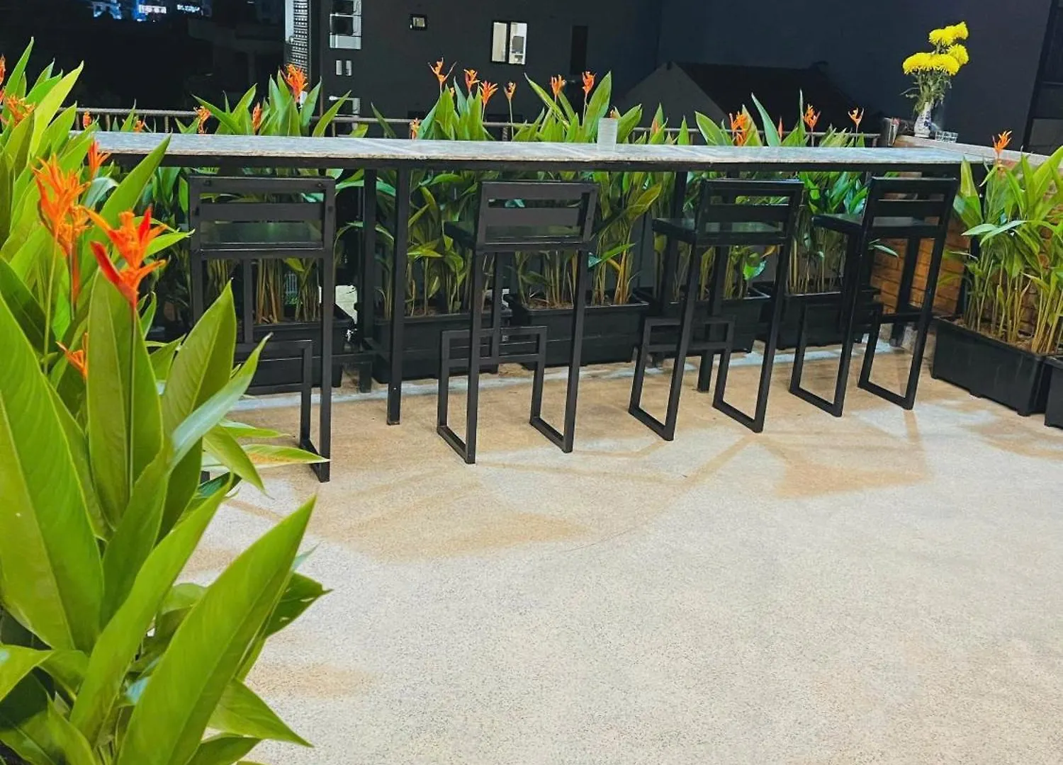 Ami Foreign Center Da Nang - Large Windows, Have Balcony & Use Terrace Apartment